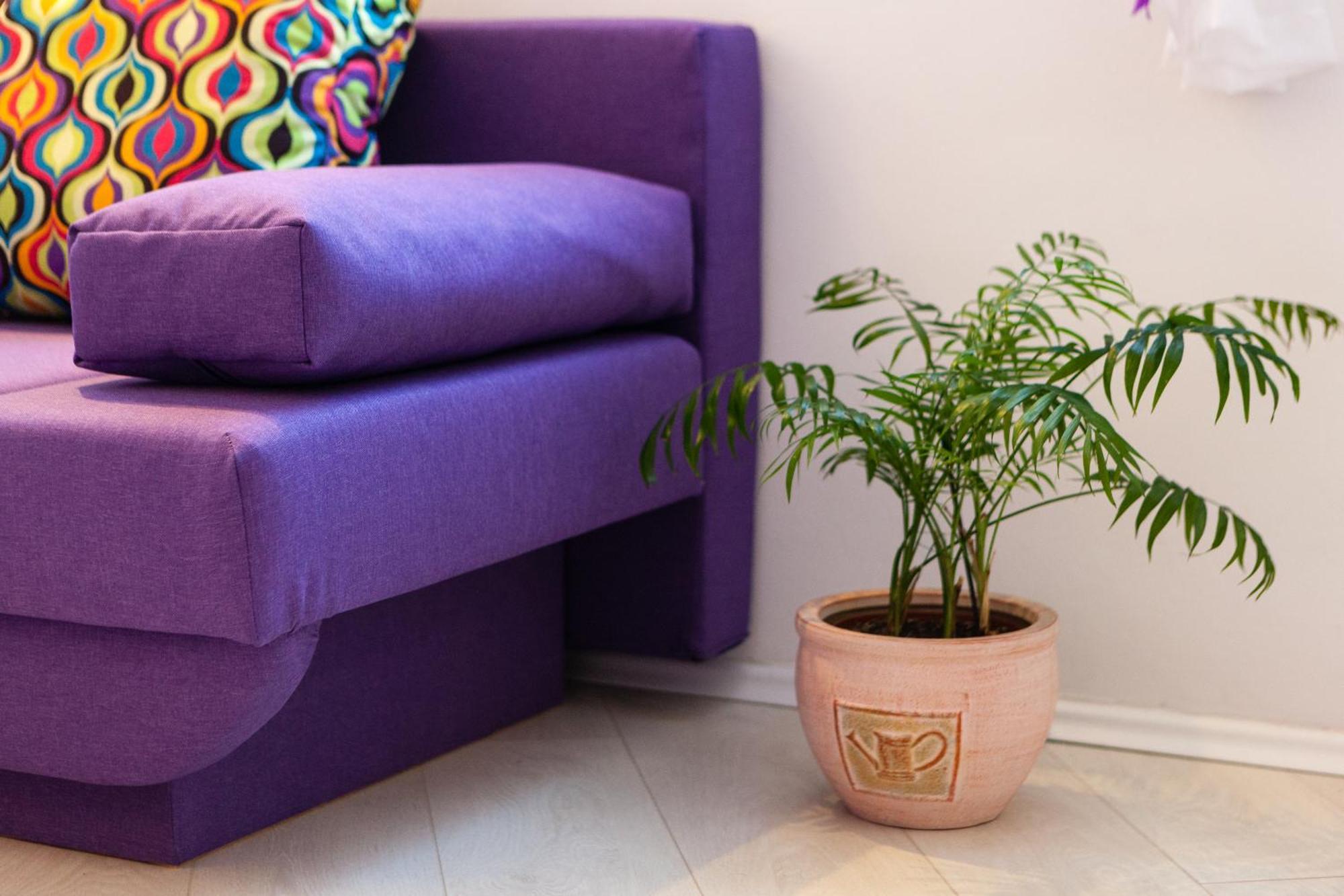 Split Old Town Apartment المظهر الخارجي الصورة